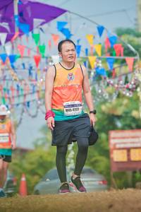 BIB: 41177
                            <button type="button" onclick="openModal(9669916)" class="btn btn-primary btn-sm float-right btn-popup" data-toggle="modal" data-target=".modal-high-quality">
                        <i class="fas fa-shopping-cart"></i> Add to Cart
                    </button>
                                            <button type="button" onclick="isThisMe(9669916, true)" class="btn btn-success btn-sm float-right btn-popup btn-isme hidden" data-toggle="tooltip" data-placement="bottom" title="นี่คือรูปของคุณใช่ไหม คลิกที่นี่เพื่อเอาเข้าอัลบั้ม">
                        <i class="fas fa-plus"></i> Add to album
                    </button>
                    <button type="button" onclick="isThisMe(9669916, false)" class="btn btn-warning btn-sm float-right btn-popup btn-isnotme hidden">
                        <i class="fas fa-ban"></i> Remove from album
                    </button>