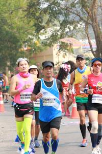 BIB: 84016, 4546, 47343, 45860
                            <button type="button" onclick="openModal(8030823)" class="btn btn-primary btn-sm float-right btn-popup" data-toggle="modal" data-target=".modal-high-quality">
                        <i class="fas fa-shopping-cart"></i> Add to Cart
                    </button>
                                            <button type="button" onclick="isThisMe(8030823, true)" class="btn btn-success btn-sm float-right btn-popup btn-isme hidden" data-toggle="tooltip" data-placement="bottom" title="นี่คือรูปของคุณใช่ไหม คลิกที่นี่เพื่อเอาเข้าอัลบั้ม">
                        <i class="fas fa-plus"></i> Add to album
                    </button>
                    <button type="button" onclick="isThisMe(8030823, false)" class="btn btn-warning btn-sm float-right btn-popup btn-isnotme hidden">
                        <i class="fas fa-ban"></i> Remove from album
                    </button>
