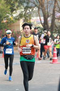 BIB: 48333, 41345
                            <button type="button" onclick="openModal(8013416)" class="btn btn-primary btn-sm float-right btn-popup" data-toggle="modal" data-target=".modal-high-quality">
                        <i class="fas fa-shopping-cart"></i> Add to Cart
                    </button>
                                            <button type="button" onclick="isThisMe(8013416, true)" class="btn btn-success btn-sm float-right btn-popup btn-isme hidden" data-toggle="tooltip" data-placement="bottom" title="นี่คือรูปของคุณใช่ไหม คลิกที่นี่เพื่อเอาเข้าอัลบั้ม">
                        <i class="fas fa-plus"></i> Add to album
                    </button>
                    <button type="button" onclick="isThisMe(8013416, false)" class="btn btn-warning btn-sm float-right btn-popup btn-isnotme hidden">
                        <i class="fas fa-ban"></i> Remove from album
                    </button>