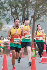 BIB: 15032, 2663
                            <button type="button" onclick="openModal(9254084)" class="btn btn-primary btn-sm float-right btn-popup" data-toggle="modal" data-target=".modal-high-quality">
                        <i class="fas fa-shopping-cart"></i> Add to Cart
                    </button>
                                            <button type="button" onclick="isThisMe(9254084, true)" class="btn btn-success btn-sm float-right btn-popup btn-isme hidden" data-toggle="tooltip" data-placement="bottom" title="นี่คือรูปของคุณใช่ไหม คลิกที่นี่เพื่อเอาเข้าอัลบั้ม">
                        <i class="fas fa-plus"></i> Add to album
                    </button>
                    <button type="button" onclick="isThisMe(9254084, false)" class="btn btn-warning btn-sm float-right btn-popup btn-isnotme hidden">
                        <i class="fas fa-ban"></i> Remove from album
                    </button>