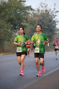 BIB: 20630, 21123
                            <button type="button" onclick="openModal(9356604)" class="btn btn-primary btn-sm float-right btn-popup" data-toggle="modal" data-target=".modal-high-quality">
                        <i class="fas fa-shopping-cart"></i> Add to Cart
                    </button>
                                            <button type="button" onclick="isThisMe(9356604, true)" class="btn btn-success btn-sm float-right btn-popup btn-isme hidden" data-toggle="tooltip" data-placement="bottom" title="นี่คือรูปของคุณใช่ไหม คลิกที่นี่เพื่อเอาเข้าอัลบั้ม">
                        <i class="fas fa-plus"></i> Add to album
                    </button>
                    <button type="button" onclick="isThisMe(9356604, false)" class="btn btn-warning btn-sm float-right btn-popup btn-isnotme hidden">
                        <i class="fas fa-ban"></i> Remove from album
                    </button>