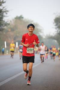 BIB: 21719
                            <button type="button" onclick="openModal(9320277)" class="btn btn-primary btn-sm float-right btn-popup" data-toggle="modal" data-target=".modal-high-quality">
                        <i class="fas fa-shopping-cart"></i> Add to Cart
                    </button>
                                            <button type="button" onclick="isThisMe(9320277, true)" class="btn btn-success btn-sm float-right btn-popup btn-isme hidden" data-toggle="tooltip" data-placement="bottom" title="นี่คือรูปของคุณใช่ไหม คลิกที่นี่เพื่อเอาเข้าอัลบั้ม">
                        <i class="fas fa-plus"></i> Add to album
                    </button>
                    <button type="button" onclick="isThisMe(9320277, false)" class="btn btn-warning btn-sm float-right btn-popup btn-isnotme hidden">
                        <i class="fas fa-ban"></i> Remove from album
                    </button>