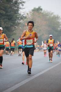 BIB: 3123, 26441
                            <button type="button" onclick="openModal(8874238)" class="btn btn-primary btn-sm float-right btn-popup" data-toggle="modal" data-target=".modal-high-quality">
                        <i class="fas fa-shopping-cart"></i> Add to Cart
                    </button>
                                            <button type="button" onclick="isThisMe(8874238, true)" class="btn btn-success btn-sm float-right btn-popup btn-isme hidden" data-toggle="tooltip" data-placement="bottom" title="นี่คือรูปของคุณใช่ไหม คลิกที่นี่เพื่อเอาเข้าอัลบั้ม">
                        <i class="fas fa-plus"></i> Add to album
                    </button>
                    <button type="button" onclick="isThisMe(8874238, false)" class="btn btn-warning btn-sm float-right btn-popup btn-isnotme hidden">
                        <i class="fas fa-ban"></i> Remove from album
                    </button>