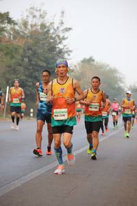BIB: 211, 21142
                            <button type="button" onclick="openModal(10422513)" class="btn btn-primary btn-sm float-right btn-popup" data-toggle="modal" data-target=".modal-high-quality">
                        <i class="fas fa-shopping-cart"></i> Add to Cart
                    </button>
                                            <button type="button" onclick="isThisMe(10422513, true)" class="btn btn-success btn-sm float-right btn-popup btn-isme hidden" data-toggle="tooltip" data-placement="bottom" title="นี่คือรูปของคุณใช่ไหม คลิกที่นี่เพื่อเอาเข้าอัลบั้ม">
                        <i class="fas fa-plus"></i> Add to album
                    </button>
                    <button type="button" onclick="isThisMe(10422513, false)" class="btn btn-warning btn-sm float-right btn-popup btn-isnotme hidden">
                        <i class="fas fa-ban"></i> Remove from album
                    </button>