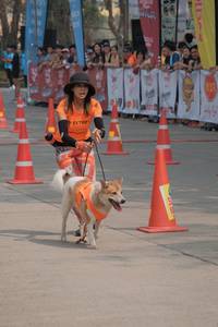 BIB: 
                            <button type="button" onclick="openModal(8961936)" class="btn btn-primary btn-sm float-right btn-popup" data-toggle="modal" data-target=".modal-high-quality">
                        <i class="fas fa-shopping-cart"></i> Add to Cart
                    </button>
                                            <button type="button" onclick="isThisMe(8961936, true)" class="btn btn-success btn-sm float-right btn-popup btn-isme hidden" data-toggle="tooltip" data-placement="bottom" title="นี่คือรูปของคุณใช่ไหม คลิกที่นี่เพื่อเอาเข้าอัลบั้ม">
                        <i class="fas fa-plus"></i> Add to album
                    </button>
                    <button type="button" onclick="isThisMe(8961936, false)" class="btn btn-warning btn-sm float-right btn-popup btn-isnotme hidden">
                        <i class="fas fa-ban"></i> Remove from album
                    </button>