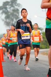 BIB: 42195, 11807, 22121
                            <button type="button" onclick="openModal(9215524)" class="btn btn-primary btn-sm float-right btn-popup" data-toggle="modal" data-target=".modal-high-quality">
                        <i class="fas fa-shopping-cart"></i> Add to Cart
                    </button>
                                            <button type="button" onclick="isThisMe(9215524, true)" class="btn btn-success btn-sm float-right btn-popup btn-isme hidden" data-toggle="tooltip" data-placement="bottom" title="นี่คือรูปของคุณใช่ไหม คลิกที่นี่เพื่อเอาเข้าอัลบั้ม">
                        <i class="fas fa-plus"></i> Add to album
                    </button>
                    <button type="button" onclick="isThisMe(9215524, false)" class="btn btn-warning btn-sm float-right btn-popup btn-isnotme hidden">
                        <i class="fas fa-ban"></i> Remove from album
                    </button>