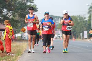 BIB: 2019, 424, 48120
                            <button type="button" onclick="openModal(9143999)" class="btn btn-primary btn-sm float-right btn-popup" data-toggle="modal" data-target=".modal-high-quality">
                        <i class="fas fa-shopping-cart"></i> Add to Cart
                    </button>
                                            <button type="button" onclick="isThisMe(9143999, true)" class="btn btn-success btn-sm float-right btn-popup btn-isme hidden" data-toggle="tooltip" data-placement="bottom" title="นี่คือรูปของคุณใช่ไหม คลิกที่นี่เพื่อเอาเข้าอัลบั้ม">
                        <i class="fas fa-plus"></i> Add to album
                    </button>
                    <button type="button" onclick="isThisMe(9143999, false)" class="btn btn-warning btn-sm float-right btn-popup btn-isnotme hidden">
                        <i class="fas fa-ban"></i> Remove from album
                    </button>