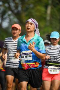 BIB: 12192, 48516, 41476
                            <button type="button" onclick="openModal(8821413)" class="btn btn-primary btn-sm float-right btn-popup" data-toggle="modal" data-target=".modal-high-quality">
                        <i class="fas fa-shopping-cart"></i> Add to Cart
                    </button>
                                            <button type="button" onclick="isThisMe(8821413, true)" class="btn btn-success btn-sm float-right btn-popup btn-isme hidden" data-toggle="tooltip" data-placement="bottom" title="นี่คือรูปของคุณใช่ไหม คลิกที่นี่เพื่อเอาเข้าอัลบั้ม">
                        <i class="fas fa-plus"></i> Add to album
                    </button>
                    <button type="button" onclick="isThisMe(8821413, false)" class="btn btn-warning btn-sm float-right btn-popup btn-isnotme hidden">
                        <i class="fas fa-ban"></i> Remove from album
                    </button>