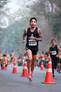 BIB: 48045
                            <button type="button" onclick="openModal(10443423)" class="btn btn-primary btn-sm float-right btn-popup" data-toggle="modal" data-target=".modal-high-quality">
                        <i class="fas fa-shopping-cart"></i> Add to Cart
                    </button>
                                            <button type="button" onclick="isThisMe(10443423, true)" class="btn btn-success btn-sm float-right btn-popup btn-isme hidden" data-toggle="tooltip" data-placement="bottom" title="นี่คือรูปของคุณใช่ไหม คลิกที่นี่เพื่อเอาเข้าอัลบั้ม">
                        <i class="fas fa-plus"></i> Add to album
                    </button>
                    <button type="button" onclick="isThisMe(10443423, false)" class="btn btn-warning btn-sm float-right btn-popup btn-isnotme hidden">
                        <i class="fas fa-ban"></i> Remove from album
                    </button>