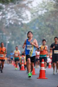 BIB: 48224
                            <button type="button" onclick="openModal(9397308)" class="btn btn-primary btn-sm float-right btn-popup" data-toggle="modal" data-target=".modal-high-quality">
                        <i class="fas fa-shopping-cart"></i> Add to Cart
                    </button>
                                            <button type="button" onclick="isThisMe(9397308, true)" class="btn btn-success btn-sm float-right btn-popup btn-isme hidden" data-toggle="tooltip" data-placement="bottom" title="นี่คือรูปของคุณใช่ไหม คลิกที่นี่เพื่อเอาเข้าอัลบั้ม">
                        <i class="fas fa-plus"></i> Add to album
                    </button>
                    <button type="button" onclick="isThisMe(9397308, false)" class="btn btn-warning btn-sm float-right btn-popup btn-isnotme hidden">
                        <i class="fas fa-ban"></i> Remove from album
                    </button>
