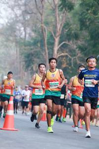 BIB: 261, 2620, 202
                            <button type="button" onclick="openModal(9397818)" class="btn btn-primary btn-sm float-right btn-popup" data-toggle="modal" data-target=".modal-high-quality">
                        <i class="fas fa-shopping-cart"></i> Add to Cart
                    </button>
                                            <button type="button" onclick="isThisMe(9397818, true)" class="btn btn-success btn-sm float-right btn-popup btn-isme hidden" data-toggle="tooltip" data-placement="bottom" title="นี่คือรูปของคุณใช่ไหม คลิกที่นี่เพื่อเอาเข้าอัลบั้ม">
                        <i class="fas fa-plus"></i> Add to album
                    </button>
                    <button type="button" onclick="isThisMe(9397818, false)" class="btn btn-warning btn-sm float-right btn-popup btn-isnotme hidden">
                        <i class="fas fa-ban"></i> Remove from album
                    </button>