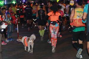 BIB: 
                            <button type="button" onclick="openModal(8752718)" class="btn btn-primary btn-sm float-right btn-popup" data-toggle="modal" data-target=".modal-high-quality">
                        <i class="fas fa-shopping-cart"></i> Add to Cart
                    </button>
                                            <button type="button" onclick="isThisMe(8752718, true)" class="btn btn-success btn-sm float-right btn-popup btn-isme hidden" data-toggle="tooltip" data-placement="bottom" title="นี่คือรูปของคุณใช่ไหม คลิกที่นี่เพื่อเอาเข้าอัลบั้ม">
                        <i class="fas fa-plus"></i> Add to album
                    </button>
                    <button type="button" onclick="isThisMe(8752718, false)" class="btn btn-warning btn-sm float-right btn-popup btn-isnotme hidden">
                        <i class="fas fa-ban"></i> Remove from album
                    </button>