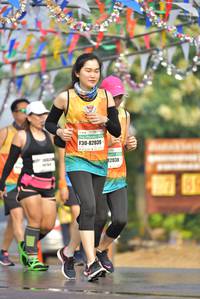 BIB: 82039, 82038
                            <button type="button" onclick="openModal(8164478)" class="btn btn-primary btn-sm float-right btn-popup" data-toggle="modal" data-target=".modal-high-quality">
                        <i class="fas fa-shopping-cart"></i> Add to Cart
                    </button>
                                            <button type="button" onclick="isThisMe(8164478, true)" class="btn btn-success btn-sm float-right btn-popup btn-isme hidden" data-toggle="tooltip" data-placement="bottom" title="นี่คือรูปของคุณใช่ไหม คลิกที่นี่เพื่อเอาเข้าอัลบั้ม">
                        <i class="fas fa-plus"></i> Add to album
                    </button>
                    <button type="button" onclick="isThisMe(8164478, false)" class="btn btn-warning btn-sm float-right btn-popup btn-isnotme hidden">
                        <i class="fas fa-ban"></i> Remove from album
                    </button>