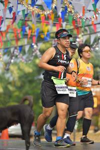 BIB: 41311, 41757
                            <button type="button" onclick="openModal(8355082)" class="btn btn-primary btn-sm float-right btn-popup" data-toggle="modal" data-target=".modal-high-quality">
                        <i class="fas fa-shopping-cart"></i> Add to Cart
                    </button>
                                            <button type="button" onclick="isThisMe(8355082, true)" class="btn btn-success btn-sm float-right btn-popup btn-isme hidden" data-toggle="tooltip" data-placement="bottom" title="นี่คือรูปของคุณใช่ไหม คลิกที่นี่เพื่อเอาเข้าอัลบั้ม">
                        <i class="fas fa-plus"></i> Add to album
                    </button>
                    <button type="button" onclick="isThisMe(8355082, false)" class="btn btn-warning btn-sm float-right btn-popup btn-isnotme hidden">
                        <i class="fas fa-ban"></i> Remove from album
                    </button>