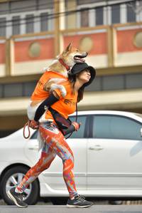 BIB: 
                            <button type="button" onclick="openModal(8454696)" class="btn btn-primary btn-sm float-right btn-popup" data-toggle="modal" data-target=".modal-high-quality">
                        <i class="fas fa-shopping-cart"></i> Add to Cart
                    </button>
                                            <button type="button" onclick="isThisMe(8454696, true)" class="btn btn-success btn-sm float-right btn-popup btn-isme hidden" data-toggle="tooltip" data-placement="bottom" title="นี่คือรูปของคุณใช่ไหม คลิกที่นี่เพื่อเอาเข้าอัลบั้ม">
                        <i class="fas fa-plus"></i> Add to album
                    </button>
                    <button type="button" onclick="isThisMe(8454696, false)" class="btn btn-warning btn-sm float-right btn-popup btn-isnotme hidden">
                        <i class="fas fa-ban"></i> Remove from album
                    </button>