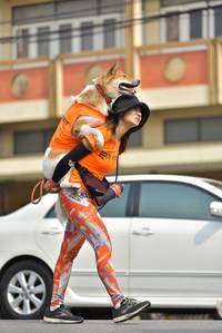 BIB: 
                            <button type="button" onclick="openModal(8454707)" class="btn btn-primary btn-sm float-right btn-popup" data-toggle="modal" data-target=".modal-high-quality">
                        <i class="fas fa-shopping-cart"></i> Add to Cart
                    </button>
                                            <button type="button" onclick="isThisMe(8454707, true)" class="btn btn-success btn-sm float-right btn-popup btn-isme hidden" data-toggle="tooltip" data-placement="bottom" title="นี่คือรูปของคุณใช่ไหม คลิกที่นี่เพื่อเอาเข้าอัลบั้ม">
                        <i class="fas fa-plus"></i> Add to album
                    </button>
                    <button type="button" onclick="isThisMe(8454707, false)" class="btn btn-warning btn-sm float-right btn-popup btn-isnotme hidden">
                        <i class="fas fa-ban"></i> Remove from album
                    </button>