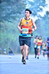 BIB: 22324
                            <button type="button" onclick="openModal(10202641)" class="btn btn-primary btn-sm float-right btn-popup" data-toggle="modal" data-target=".modal-high-quality">
                        <i class="fas fa-shopping-cart"></i> Add to Cart
                    </button>
                                            <button type="button" onclick="isThisMe(10202641, true)" class="btn btn-success btn-sm float-right btn-popup btn-isme hidden" data-toggle="tooltip" data-placement="bottom" title="นี่คือรูปของคุณใช่ไหม คลิกที่นี่เพื่อเอาเข้าอัลบั้ม">
                        <i class="fas fa-plus"></i> Add to album
                    </button>
                    <button type="button" onclick="isThisMe(10202641, false)" class="btn btn-warning btn-sm float-right btn-popup btn-isnotme hidden">
                        <i class="fas fa-ban"></i> Remove from album
                    </button>