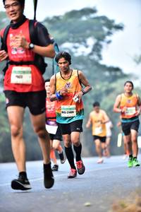 BIB: 21408
                            <button type="button" onclick="openModal(10204007)" class="btn btn-primary btn-sm float-right btn-popup" data-toggle="modal" data-target=".modal-high-quality">
                        <i class="fas fa-shopping-cart"></i> Add to Cart
                    </button>
                                            <button type="button" onclick="isThisMe(10204007, true)" class="btn btn-success btn-sm float-right btn-popup btn-isme hidden" data-toggle="tooltip" data-placement="bottom" title="นี่คือรูปของคุณใช่ไหม คลิกที่นี่เพื่อเอาเข้าอัลบั้ม">
                        <i class="fas fa-plus"></i> Add to album
                    </button>
                    <button type="button" onclick="isThisMe(10204007, false)" class="btn btn-warning btn-sm float-right btn-popup btn-isnotme hidden">
                        <i class="fas fa-ban"></i> Remove from album
                    </button>