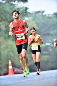 BIB: 27319
                            <button type="button" onclick="openModal(10204983)" class="btn btn-primary btn-sm float-right btn-popup" data-toggle="modal" data-target=".modal-high-quality">
                        <i class="fas fa-shopping-cart"></i> Add to Cart
                    </button>
                                            <button type="button" onclick="isThisMe(10204983, true)" class="btn btn-success btn-sm float-right btn-popup btn-isme hidden" data-toggle="tooltip" data-placement="bottom" title="นี่คือรูปของคุณใช่ไหม คลิกที่นี่เพื่อเอาเข้าอัลบั้ม">
                        <i class="fas fa-plus"></i> Add to album
                    </button>
                    <button type="button" onclick="isThisMe(10204983, false)" class="btn btn-warning btn-sm float-right btn-popup btn-isnotme hidden">
                        <i class="fas fa-ban"></i> Remove from album
                    </button>