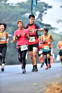 BIB: 20047, 75844
                            <button type="button" onclick="openModal(10203932)" class="btn btn-primary btn-sm float-right btn-popup" data-toggle="modal" data-target=".modal-high-quality">
                        <i class="fas fa-shopping-cart"></i> Add to Cart
                    </button>
                                            <button type="button" onclick="isThisMe(10203932, true)" class="btn btn-success btn-sm float-right btn-popup btn-isme hidden" data-toggle="tooltip" data-placement="bottom" title="นี่คือรูปของคุณใช่ไหม คลิกที่นี่เพื่อเอาเข้าอัลบั้ม">
                        <i class="fas fa-plus"></i> Add to album
                    </button>
                    <button type="button" onclick="isThisMe(10203932, false)" class="btn btn-warning btn-sm float-right btn-popup btn-isnotme hidden">
                        <i class="fas fa-ban"></i> Remove from album
                    </button>