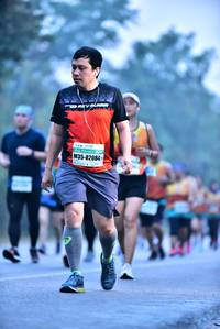 BIB: 82084
                            <button type="button" onclick="openModal(10201239)" class="btn btn-primary btn-sm float-right btn-popup" data-toggle="modal" data-target=".modal-high-quality">
                        <i class="fas fa-shopping-cart"></i> Add to Cart
                    </button>
                                            <button type="button" onclick="isThisMe(10201239, true)" class="btn btn-success btn-sm float-right btn-popup btn-isme hidden" data-toggle="tooltip" data-placement="bottom" title="นี่คือรูปของคุณใช่ไหม คลิกที่นี่เพื่อเอาเข้าอัลบั้ม">
                        <i class="fas fa-plus"></i> Add to album
                    </button>
                    <button type="button" onclick="isThisMe(10201239, false)" class="btn btn-warning btn-sm float-right btn-popup btn-isnotme hidden">
                        <i class="fas fa-ban"></i> Remove from album
                    </button>