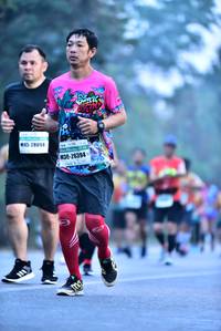 BIB: 28094, 26394
                            <button type="button" onclick="openModal(10201784)" class="btn btn-primary btn-sm float-right btn-popup" data-toggle="modal" data-target=".modal-high-quality">
                        <i class="fas fa-shopping-cart"></i> Add to Cart
                    </button>
                                            <button type="button" onclick="isThisMe(10201784, true)" class="btn btn-success btn-sm float-right btn-popup btn-isme hidden" data-toggle="tooltip" data-placement="bottom" title="นี่คือรูปของคุณใช่ไหม คลิกที่นี่เพื่อเอาเข้าอัลบั้ม">
                        <i class="fas fa-plus"></i> Add to album
                    </button>
                    <button type="button" onclick="isThisMe(10201784, false)" class="btn btn-warning btn-sm float-right btn-popup btn-isnotme hidden">
                        <i class="fas fa-ban"></i> Remove from album
                    </button>