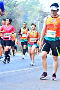 BIB: 125, 75485, 20137, 26009
                            <button type="button" onclick="openModal(10384946)" class="btn btn-primary btn-sm float-right btn-popup" data-toggle="modal" data-target=".modal-high-quality">
                        <i class="fas fa-shopping-cart"></i> Add to Cart
                    </button>
                                            <button type="button" onclick="isThisMe(10384946, true)" class="btn btn-success btn-sm float-right btn-popup btn-isme hidden" data-toggle="tooltip" data-placement="bottom" title="นี่คือรูปของคุณใช่ไหม คลิกที่นี่เพื่อเอาเข้าอัลบั้ม">
                        <i class="fas fa-plus"></i> Add to album
                    </button>
                    <button type="button" onclick="isThisMe(10384946, false)" class="btn btn-warning btn-sm float-right btn-popup btn-isnotme hidden">
                        <i class="fas fa-ban"></i> Remove from album
                    </button>