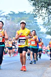 BIB: 42166
                            <button type="button" onclick="openModal(10379453)" class="btn btn-primary btn-sm float-right btn-popup" data-toggle="modal" data-target=".modal-high-quality">
                        <i class="fas fa-shopping-cart"></i> Add to Cart
                    </button>
                                            <button type="button" onclick="isThisMe(10379453, true)" class="btn btn-success btn-sm float-right btn-popup btn-isme hidden" data-toggle="tooltip" data-placement="bottom" title="นี่คือรูปของคุณใช่ไหม คลิกที่นี่เพื่อเอาเข้าอัลบั้ม">
                        <i class="fas fa-plus"></i> Add to album
                    </button>
                    <button type="button" onclick="isThisMe(10379453, false)" class="btn btn-warning btn-sm float-right btn-popup btn-isnotme hidden">
                        <i class="fas fa-ban"></i> Remove from album
                    </button>
