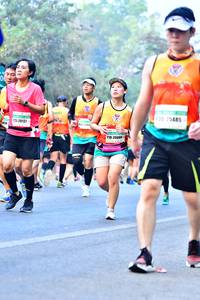 BIB: 135, 25485, 20137, 26009
                            <button type="button" onclick="openModal(10384992)" class="btn btn-primary btn-sm float-right btn-popup" data-toggle="modal" data-target=".modal-high-quality">
                        <i class="fas fa-shopping-cart"></i> Add to Cart
                    </button>
                                            <button type="button" onclick="isThisMe(10384992, true)" class="btn btn-success btn-sm float-right btn-popup btn-isme hidden" data-toggle="tooltip" data-placement="bottom" title="นี่คือรูปของคุณใช่ไหม คลิกที่นี่เพื่อเอาเข้าอัลบั้ม">
                        <i class="fas fa-plus"></i> Add to album
                    </button>
                    <button type="button" onclick="isThisMe(10384992, false)" class="btn btn-warning btn-sm float-right btn-popup btn-isnotme hidden">
                        <i class="fas fa-ban"></i> Remove from album
                    </button>