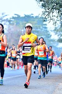 BIB: 42166
                            <button type="button" onclick="openModal(10379459)" class="btn btn-primary btn-sm float-right btn-popup" data-toggle="modal" data-target=".modal-high-quality">
                        <i class="fas fa-shopping-cart"></i> Add to Cart
                    </button>
                                            <button type="button" onclick="isThisMe(10379459, true)" class="btn btn-success btn-sm float-right btn-popup btn-isme hidden" data-toggle="tooltip" data-placement="bottom" title="นี่คือรูปของคุณใช่ไหม คลิกที่นี่เพื่อเอาเข้าอัลบั้ม">
                        <i class="fas fa-plus"></i> Add to album
                    </button>
                    <button type="button" onclick="isThisMe(10379459, false)" class="btn btn-warning btn-sm float-right btn-popup btn-isnotme hidden">
                        <i class="fas fa-ban"></i> Remove from album
                    </button>