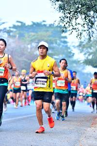BIB: 531, 42166
                            <button type="button" onclick="openModal(10379461)" class="btn btn-primary btn-sm float-right btn-popup" data-toggle="modal" data-target=".modal-high-quality">
                        <i class="fas fa-shopping-cart"></i> Add to Cart
                    </button>
                                            <button type="button" onclick="isThisMe(10379461, true)" class="btn btn-success btn-sm float-right btn-popup btn-isme hidden" data-toggle="tooltip" data-placement="bottom" title="นี่คือรูปของคุณใช่ไหม คลิกที่นี่เพื่อเอาเข้าอัลบั้ม">
                        <i class="fas fa-plus"></i> Add to album
                    </button>
                    <button type="button" onclick="isThisMe(10379461, false)" class="btn btn-warning btn-sm float-right btn-popup btn-isnotme hidden">
                        <i class="fas fa-ban"></i> Remove from album
                    </button>