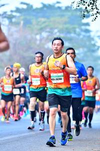 BIB: 26288, 451
                            <button type="button" onclick="openModal(10379450)" class="btn btn-primary btn-sm float-right btn-popup" data-toggle="modal" data-target=".modal-high-quality">
                        <i class="fas fa-shopping-cart"></i> Add to Cart
                    </button>
                                            <button type="button" onclick="isThisMe(10379450, true)" class="btn btn-success btn-sm float-right btn-popup btn-isme hidden" data-toggle="tooltip" data-placement="bottom" title="นี่คือรูปของคุณใช่ไหม คลิกที่นี่เพื่อเอาเข้าอัลบั้ม">
                        <i class="fas fa-plus"></i> Add to album
                    </button>
                    <button type="button" onclick="isThisMe(10379450, false)" class="btn btn-warning btn-sm float-right btn-popup btn-isnotme hidden">
                        <i class="fas fa-ban"></i> Remove from album
                    </button>
