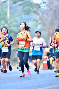 BIB: 20430
                            <button type="button" onclick="openModal(10384776)" class="btn btn-primary btn-sm float-right btn-popup" data-toggle="modal" data-target=".modal-high-quality">
                        <i class="fas fa-shopping-cart"></i> Add to Cart
                    </button>
                                            <button type="button" onclick="isThisMe(10384776, true)" class="btn btn-success btn-sm float-right btn-popup btn-isme hidden" data-toggle="tooltip" data-placement="bottom" title="นี่คือรูปของคุณใช่ไหม คลิกที่นี่เพื่อเอาเข้าอัลบั้ม">
                        <i class="fas fa-plus"></i> Add to album
                    </button>
                    <button type="button" onclick="isThisMe(10384776, false)" class="btn btn-warning btn-sm float-right btn-popup btn-isnotme hidden">
                        <i class="fas fa-ban"></i> Remove from album
                    </button>