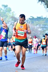BIB: 25848
                            <button type="button" onclick="openModal(10380110)" class="btn btn-primary btn-sm float-right btn-popup" data-toggle="modal" data-target=".modal-high-quality">
                        <i class="fas fa-shopping-cart"></i> Add to Cart
                    </button>
                                            <button type="button" onclick="isThisMe(10380110, true)" class="btn btn-success btn-sm float-right btn-popup btn-isme hidden" data-toggle="tooltip" data-placement="bottom" title="นี่คือรูปของคุณใช่ไหม คลิกที่นี่เพื่อเอาเข้าอัลบั้ม">
                        <i class="fas fa-plus"></i> Add to album
                    </button>
                    <button type="button" onclick="isThisMe(10380110, false)" class="btn btn-warning btn-sm float-right btn-popup btn-isnotme hidden">
                        <i class="fas fa-ban"></i> Remove from album
                    </button>