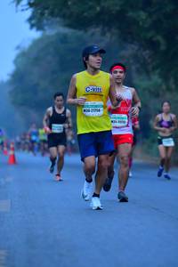 BIB: 27256, 25733
                            <button type="button" onclick="openModal(10362298)" class="btn btn-primary btn-sm float-right btn-popup" data-toggle="modal" data-target=".modal-high-quality">
                        <i class="fas fa-shopping-cart"></i> Add to Cart
                    </button>
                                            <button type="button" onclick="isThisMe(10362298, true)" class="btn btn-success btn-sm float-right btn-popup btn-isme hidden" data-toggle="tooltip" data-placement="bottom" title="นี่คือรูปของคุณใช่ไหม คลิกที่นี่เพื่อเอาเข้าอัลบั้ม">
                        <i class="fas fa-plus"></i> Add to album
                    </button>
                    <button type="button" onclick="isThisMe(10362298, false)" class="btn btn-warning btn-sm float-right btn-popup btn-isnotme hidden">
                        <i class="fas fa-ban"></i> Remove from album
                    </button>