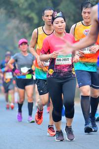 BIB: 20572
                            <button type="button" onclick="openModal(10365056)" class="btn btn-primary btn-sm float-right btn-popup" data-toggle="modal" data-target=".modal-high-quality">
                        <i class="fas fa-shopping-cart"></i> Add to Cart
                    </button>
                                            <button type="button" onclick="isThisMe(10365056, true)" class="btn btn-success btn-sm float-right btn-popup btn-isme hidden" data-toggle="tooltip" data-placement="bottom" title="นี่คือรูปของคุณใช่ไหม คลิกที่นี่เพื่อเอาเข้าอัลบั้ม">
                        <i class="fas fa-plus"></i> Add to album
                    </button>
                    <button type="button" onclick="isThisMe(10365056, false)" class="btn btn-warning btn-sm float-right btn-popup btn-isnotme hidden">
                        <i class="fas fa-ban"></i> Remove from album
                    </button>