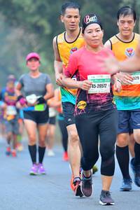 BIB: 529, 20572
                            <button type="button" onclick="openModal(10365064)" class="btn btn-primary btn-sm float-right btn-popup" data-toggle="modal" data-target=".modal-high-quality">
                        <i class="fas fa-shopping-cart"></i> Add to Cart
                    </button>
                                            <button type="button" onclick="isThisMe(10365064, true)" class="btn btn-success btn-sm float-right btn-popup btn-isme hidden" data-toggle="tooltip" data-placement="bottom" title="นี่คือรูปของคุณใช่ไหม คลิกที่นี่เพื่อเอาเข้าอัลบั้ม">
                        <i class="fas fa-plus"></i> Add to album
                    </button>
                    <button type="button" onclick="isThisMe(10365064, false)" class="btn btn-warning btn-sm float-right btn-popup btn-isnotme hidden">
                        <i class="fas fa-ban"></i> Remove from album
                    </button>
