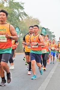 BIB: 200, 22491
                            <button type="button" onclick="openModal(8172129)" class="btn btn-primary btn-sm float-right btn-popup" data-toggle="modal" data-target=".modal-high-quality">
                        <i class="fas fa-shopping-cart"></i> Add to Cart
                    </button>
                                            <button type="button" onclick="isThisMe(8172129, true)" class="btn btn-success btn-sm float-right btn-popup btn-isme hidden" data-toggle="tooltip" data-placement="bottom" title="นี่คือรูปของคุณใช่ไหม คลิกที่นี่เพื่อเอาเข้าอัลบั้ม">
                        <i class="fas fa-plus"></i> Add to album
                    </button>
                    <button type="button" onclick="isThisMe(8172129, false)" class="btn btn-warning btn-sm float-right btn-popup btn-isnotme hidden">
                        <i class="fas fa-ban"></i> Remove from album
                    </button>