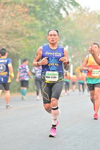 BIB: 21194
                            <button type="button" onclick="openModal(8166652)" class="btn btn-primary btn-sm float-right btn-popup" data-toggle="modal" data-target=".modal-high-quality">
                        <i class="fas fa-shopping-cart"></i> Add to Cart
                    </button>
                                            <button type="button" onclick="isThisMe(8166652, true)" class="btn btn-success btn-sm float-right btn-popup btn-isme hidden" data-toggle="tooltip" data-placement="bottom" title="นี่คือรูปของคุณใช่ไหม คลิกที่นี่เพื่อเอาเข้าอัลบั้ม">
                        <i class="fas fa-plus"></i> Add to album
                    </button>
                    <button type="button" onclick="isThisMe(8166652, false)" class="btn btn-warning btn-sm float-right btn-popup btn-isnotme hidden">
                        <i class="fas fa-ban"></i> Remove from album
                    </button>