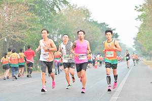 BIB: 
                            <button type="button" onclick="openModal(8144342)" class="btn btn-primary btn-sm float-right btn-popup" data-toggle="modal" data-target=".modal-high-quality">
                        <i class="fas fa-shopping-cart"></i> Add to Cart
                    </button>
                                            <button type="button" onclick="isThisMe(8144342, true)" class="btn btn-success btn-sm float-right btn-popup btn-isme hidden" data-toggle="tooltip" data-placement="bottom" title="นี่คือรูปของคุณใช่ไหม คลิกที่นี่เพื่อเอาเข้าอัลบั้ม">
                        <i class="fas fa-plus"></i> Add to album
                    </button>
                    <button type="button" onclick="isThisMe(8144342, false)" class="btn btn-warning btn-sm float-right btn-popup btn-isnotme hidden">
                        <i class="fas fa-ban"></i> Remove from album
                    </button>