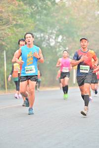 BIB: 2621, 82004
                            <button type="button" onclick="openModal(8165110)" class="btn btn-primary btn-sm float-right btn-popup" data-toggle="modal" data-target=".modal-high-quality">
                        <i class="fas fa-shopping-cart"></i> Add to Cart
                    </button>
                                            <button type="button" onclick="isThisMe(8165110, true)" class="btn btn-success btn-sm float-right btn-popup btn-isme hidden" data-toggle="tooltip" data-placement="bottom" title="นี่คือรูปของคุณใช่ไหม คลิกที่นี่เพื่อเอาเข้าอัลบั้ม">
                        <i class="fas fa-plus"></i> Add to album
                    </button>
                    <button type="button" onclick="isThisMe(8165110, false)" class="btn btn-warning btn-sm float-right btn-popup btn-isnotme hidden">
                        <i class="fas fa-ban"></i> Remove from album
                    </button>