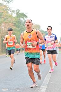 BIB: 
                            <button type="button" onclick="openModal(8163864)" class="btn btn-primary btn-sm float-right btn-popup" data-toggle="modal" data-target=".modal-high-quality">
                        <i class="fas fa-shopping-cart"></i> Add to Cart
                    </button>
                                            <button type="button" onclick="isThisMe(8163864, true)" class="btn btn-success btn-sm float-right btn-popup btn-isme hidden" data-toggle="tooltip" data-placement="bottom" title="นี่คือรูปของคุณใช่ไหม คลิกที่นี่เพื่อเอาเข้าอัลบั้ม">
                        <i class="fas fa-plus"></i> Add to album
                    </button>
                    <button type="button" onclick="isThisMe(8163864, false)" class="btn btn-warning btn-sm float-right btn-popup btn-isnotme hidden">
                        <i class="fas fa-ban"></i> Remove from album
                    </button>