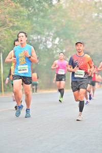 BIB: 26213, 82004
                            <button type="button" onclick="openModal(8165120)" class="btn btn-primary btn-sm float-right btn-popup" data-toggle="modal" data-target=".modal-high-quality">
                        <i class="fas fa-shopping-cart"></i> Add to Cart
                    </button>
                                            <button type="button" onclick="isThisMe(8165120, true)" class="btn btn-success btn-sm float-right btn-popup btn-isme hidden" data-toggle="tooltip" data-placement="bottom" title="นี่คือรูปของคุณใช่ไหม คลิกที่นี่เพื่อเอาเข้าอัลบั้ม">
                        <i class="fas fa-plus"></i> Add to album
                    </button>
                    <button type="button" onclick="isThisMe(8165120, false)" class="btn btn-warning btn-sm float-right btn-popup btn-isnotme hidden">
                        <i class="fas fa-ban"></i> Remove from album
                    </button>