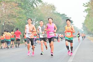 BIB: 
                            <button type="button" onclick="openModal(8144323)" class="btn btn-primary btn-sm float-right btn-popup" data-toggle="modal" data-target=".modal-high-quality">
                        <i class="fas fa-shopping-cart"></i> Add to Cart
                    </button>
                                            <button type="button" onclick="isThisMe(8144323, true)" class="btn btn-success btn-sm float-right btn-popup btn-isme hidden" data-toggle="tooltip" data-placement="bottom" title="นี่คือรูปของคุณใช่ไหม คลิกที่นี่เพื่อเอาเข้าอัลบั้ม">
                        <i class="fas fa-plus"></i> Add to album
                    </button>
                    <button type="button" onclick="isThisMe(8144323, false)" class="btn btn-warning btn-sm float-right btn-popup btn-isnotme hidden">
                        <i class="fas fa-ban"></i> Remove from album
                    </button>