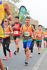 BIB: 200, 27116, 2005, 2521
                            <button type="button" onclick="openModal(8172261)" class="btn btn-primary btn-sm float-right btn-popup" data-toggle="modal" data-target=".modal-high-quality">
                        <i class="fas fa-shopping-cart"></i> Add to Cart
                    </button>
                                            <button type="button" onclick="isThisMe(8172261, true)" class="btn btn-success btn-sm float-right btn-popup btn-isme hidden" data-toggle="tooltip" data-placement="bottom" title="นี่คือรูปของคุณใช่ไหม คลิกที่นี่เพื่อเอาเข้าอัลบั้ม">
                        <i class="fas fa-plus"></i> Add to album
                    </button>
                    <button type="button" onclick="isThisMe(8172261, false)" class="btn btn-warning btn-sm float-right btn-popup btn-isnotme hidden">
                        <i class="fas fa-ban"></i> Remove from album
                    </button>