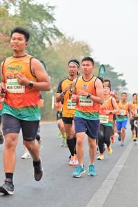 BIB: 22491, 20820, 260
                            <button type="button" onclick="openModal(8172119)" class="btn btn-primary btn-sm float-right btn-popup" data-toggle="modal" data-target=".modal-high-quality">
                        <i class="fas fa-shopping-cart"></i> Add to Cart
                    </button>
                                            <button type="button" onclick="isThisMe(8172119, true)" class="btn btn-success btn-sm float-right btn-popup btn-isme hidden" data-toggle="tooltip" data-placement="bottom" title="นี่คือรูปของคุณใช่ไหม คลิกที่นี่เพื่อเอาเข้าอัลบั้ม">
                        <i class="fas fa-plus"></i> Add to album
                    </button>
                    <button type="button" onclick="isThisMe(8172119, false)" class="btn btn-warning btn-sm float-right btn-popup btn-isnotme hidden">
                        <i class="fas fa-ban"></i> Remove from album
                    </button>