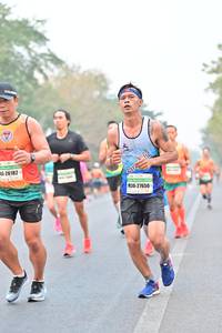 BIB: 26182, 27650
                            <button type="button" onclick="openModal(8162063)" class="btn btn-primary btn-sm float-right btn-popup" data-toggle="modal" data-target=".modal-high-quality">
                        <i class="fas fa-shopping-cart"></i> Add to Cart
                    </button>
                                            <button type="button" onclick="isThisMe(8162063, true)" class="btn btn-success btn-sm float-right btn-popup btn-isme hidden" data-toggle="tooltip" data-placement="bottom" title="นี่คือรูปของคุณใช่ไหม คลิกที่นี่เพื่อเอาเข้าอัลบั้ม">
                        <i class="fas fa-plus"></i> Add to album
                    </button>
                    <button type="button" onclick="isThisMe(8162063, false)" class="btn btn-warning btn-sm float-right btn-popup btn-isnotme hidden">
                        <i class="fas fa-ban"></i> Remove from album
                    </button>