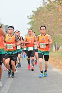 BIB: 27879, 27672
                            <button type="button" onclick="openModal(8215218)" class="btn btn-primary btn-sm float-right btn-popup" data-toggle="modal" data-target=".modal-high-quality">
                        <i class="fas fa-shopping-cart"></i> Add to Cart
                    </button>
                                            <button type="button" onclick="isThisMe(8215218, true)" class="btn btn-success btn-sm float-right btn-popup btn-isme hidden" data-toggle="tooltip" data-placement="bottom" title="นี่คือรูปของคุณใช่ไหม คลิกที่นี่เพื่อเอาเข้าอัลบั้ม">
                        <i class="fas fa-plus"></i> Add to album
                    </button>
                    <button type="button" onclick="isThisMe(8215218, false)" class="btn btn-warning btn-sm float-right btn-popup btn-isnotme hidden">
                        <i class="fas fa-ban"></i> Remove from album
                    </button>