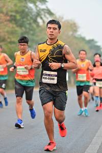 BIB: 41980
                            <button type="button" onclick="openModal(8197377)" class="btn btn-primary btn-sm float-right btn-popup" data-toggle="modal" data-target=".modal-high-quality">
                        <i class="fas fa-shopping-cart"></i> Add to Cart
                    </button>
                                            <button type="button" onclick="isThisMe(8197377, true)" class="btn btn-success btn-sm float-right btn-popup btn-isme hidden" data-toggle="tooltip" data-placement="bottom" title="นี่คือรูปของคุณใช่ไหม คลิกที่นี่เพื่อเอาเข้าอัลบั้ม">
                        <i class="fas fa-plus"></i> Add to album
                    </button>
                    <button type="button" onclick="isThisMe(8197377, false)" class="btn btn-warning btn-sm float-right btn-popup btn-isnotme hidden">
                        <i class="fas fa-ban"></i> Remove from album
                    </button>