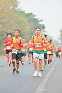 BIB: 21082, 28920
                            <button type="button" onclick="openModal(8238626)" class="btn btn-primary btn-sm float-right btn-popup" data-toggle="modal" data-target=".modal-high-quality">
                        <i class="fas fa-shopping-cart"></i> Add to Cart
                    </button>
                                            <button type="button" onclick="isThisMe(8238626, true)" class="btn btn-success btn-sm float-right btn-popup btn-isme hidden" data-toggle="tooltip" data-placement="bottom" title="นี่คือรูปของคุณใช่ไหม คลิกที่นี่เพื่อเอาเข้าอัลบั้ม">
                        <i class="fas fa-plus"></i> Add to album
                    </button>
                    <button type="button" onclick="isThisMe(8238626, false)" class="btn btn-warning btn-sm float-right btn-popup btn-isnotme hidden">
                        <i class="fas fa-ban"></i> Remove from album
                    </button>